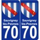 70 Sauvigney-lès-Pesmes coat of arms sticker plate stickers city