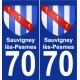 70 Sauvigney-lès-Pesmes coat of arms sticker plate stickers city
