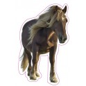 Wild boar sticker adhesive