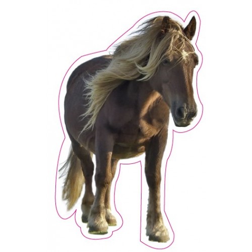 Cinghiale sticker adesivo