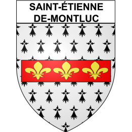 Saint-étienne-de-Montluc 44 ville Stickers blason autocollant adhésif