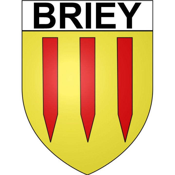 Briey 54 ville Stickers blason autocollant adhésif