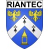 Riantec 56 ville Stickers blason autocollant adhésif