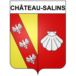 Château-Salins 57 ville Stickers blason autocollant adhésif
