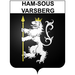 Ham-sous-Varsberg 57 ville Stickers blason autocollant adhésif