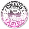 2 x10 cm -Grand Canyon USA Arizona Colorado logo-89 autocollant adhésif sticker