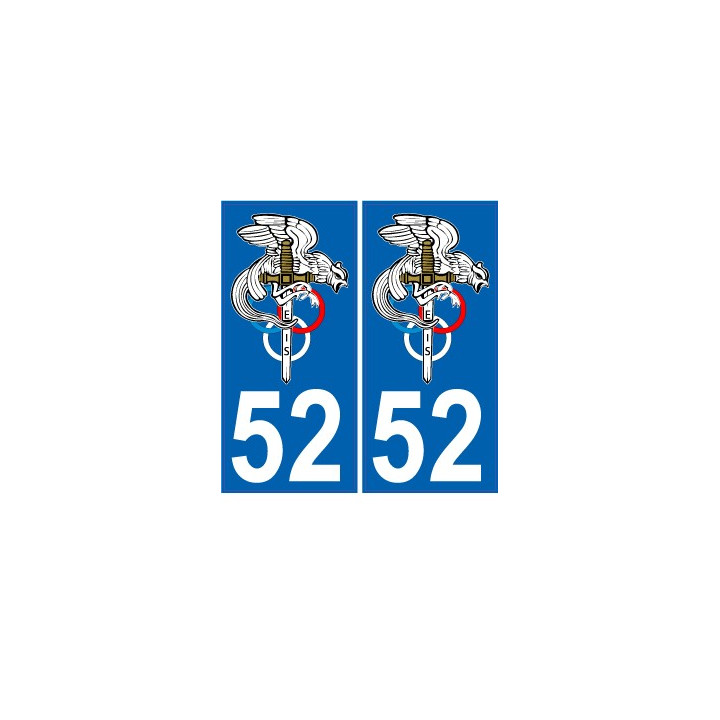 64 Pau logo sticker plate registration city