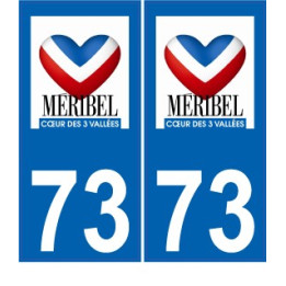 64 Pau logo sticker plate registration city