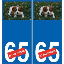 66 Cerdanya sticker sticker plate