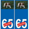 66 Cerdanya sticker adesivo piastra