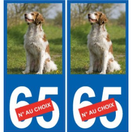 66 Cerdanya sticker aufkleber platte