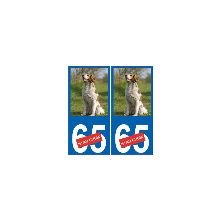 66 Cerdanya de la etiqueta engomada de la etiqueta engomada de la placa