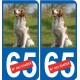 66 Cerdanya sticker sticker plate