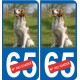 Chien épagneul assis 11 sticker autocollant plaque immatriculation auto
