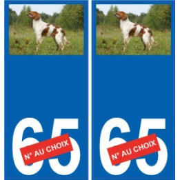 66 Cerdanya sticker sticker plate