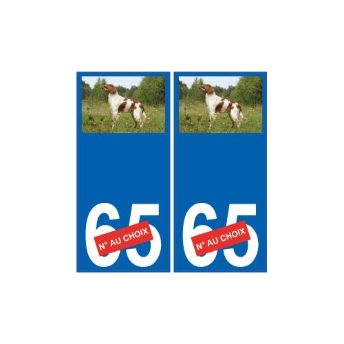 66 Cerdanya sticker sticker plate