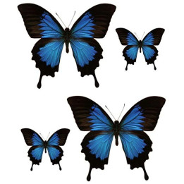 logotipo de groland etiqueta engomada de la etiqueta engomada adhesiva GRD