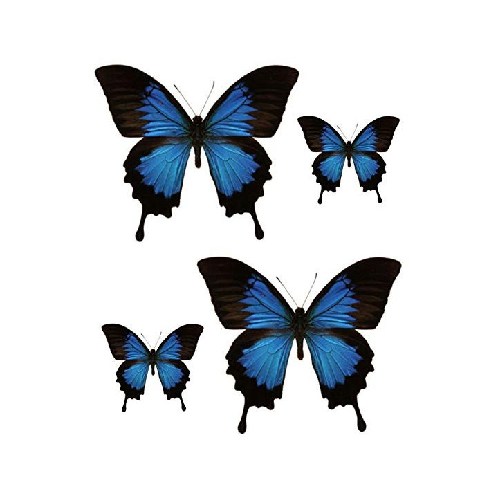 logotipo de groland etiqueta engomada de la etiqueta engomada adhesiva GRD