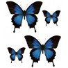 Set 4X Autocollant Sticker Papillon logo 28 déco Voiture Moto Deco Papillon Bleu Noir frigo