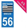 83 Var adesivo piastra