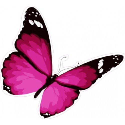 Papillon rose numéro 61 autocollant adhésif sticker