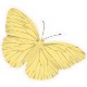 Papillon jaune numéro 63 autocollant adhésif sticker