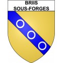 Briis-sous-Forges 91 ville Stickers blason autocollant adhésif