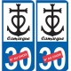 Etiqueta engomada de la placa del auto de anclaje de la Camarga número de departamento elección