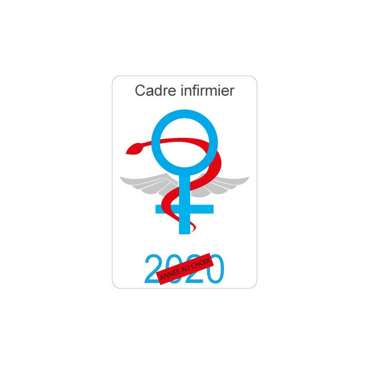 Caduceus health Care Aide sticker sticker