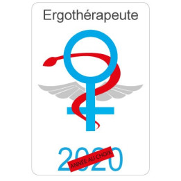 Caduceus health Care Aide sticker sticker