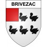 Brivezac 19 ville sticker blason écusson autocollant adhésif