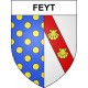 Feyt 19 ville sticker blason écusson autocollant adhésif