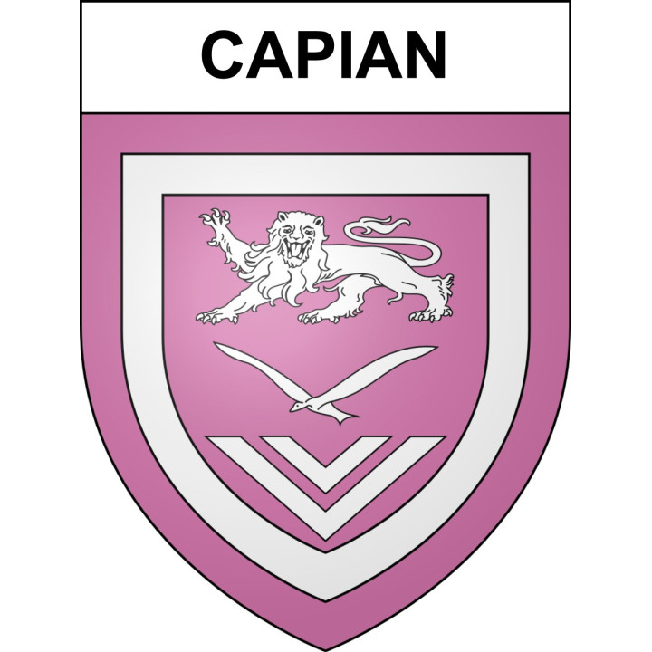 Pegatinas escudo de armas de Capian adhesivo de la etiqueta engomada