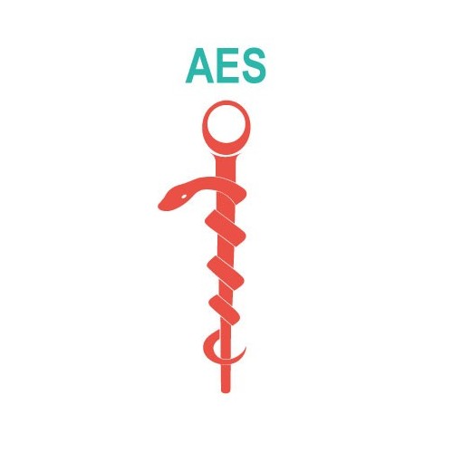 Caducée AES logo 531 sticker autocollant