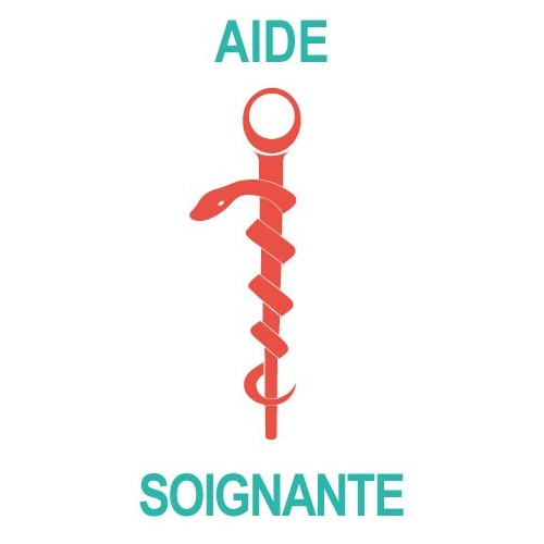 Caduceus health Care Aide sticker sticker