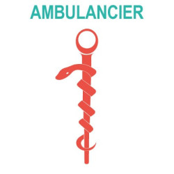 Caduceo de Cuidado de la salud del Ayudante de la etiqueta engomada de la etiqueta engomada