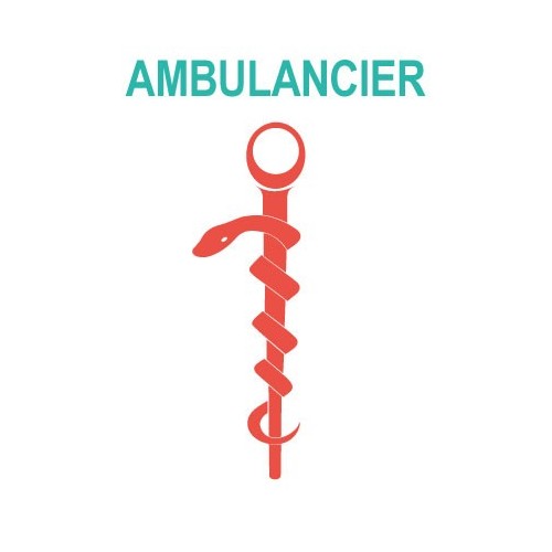 Caduceo di sanità Aiutante sticker adesivo