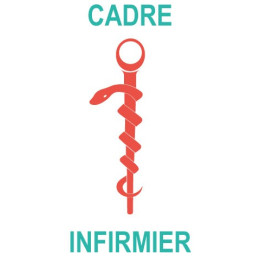 Caducée cadre infirmier logo 531 sticker autocollant