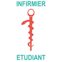 Caducée infirmier étudiant logo 531 sticker autocollant