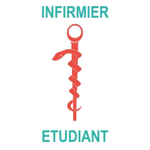 Caducée infirmier étudiant logo 531 sticker autocollant