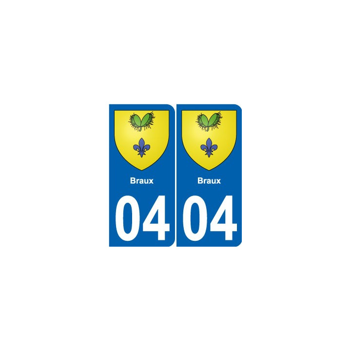 64 Pau placa etiqueta de registro de la ciudad
