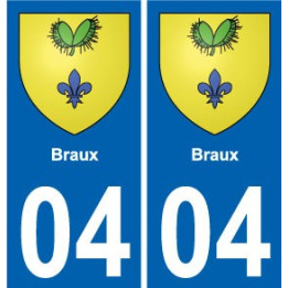 64 Pau placa etiqueta de registro de la ciudad