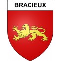 Bracieux 41 ville sticker blason écusson autocollant adhésif