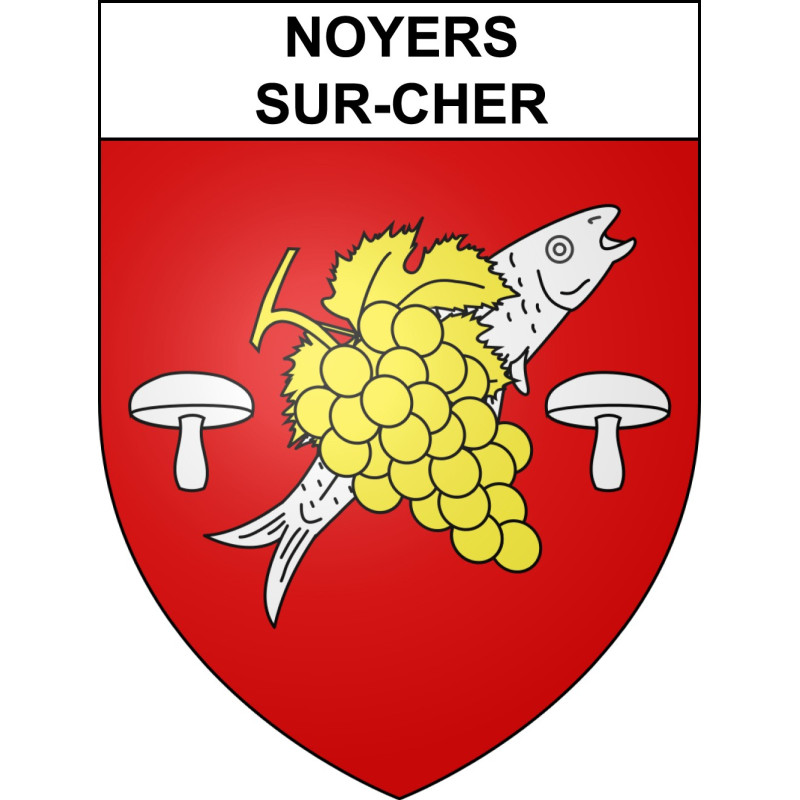 Noyers-sur-Cher 41 ville sticker blason écusson autocollant adhésif