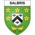 Salbris 41 ville sticker blason écusson autocollant adhésif