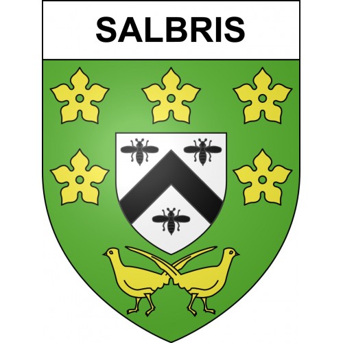 Stickers coat of arms Salbris adhesive sticker