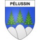 Adesivi stemma Pélussin adesivo