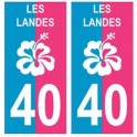 40 Landes hibiscus two-tone blue rose sticker plate