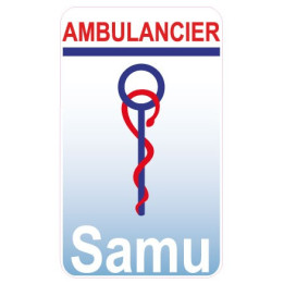 Caduceus health Care Aide sticker sticker