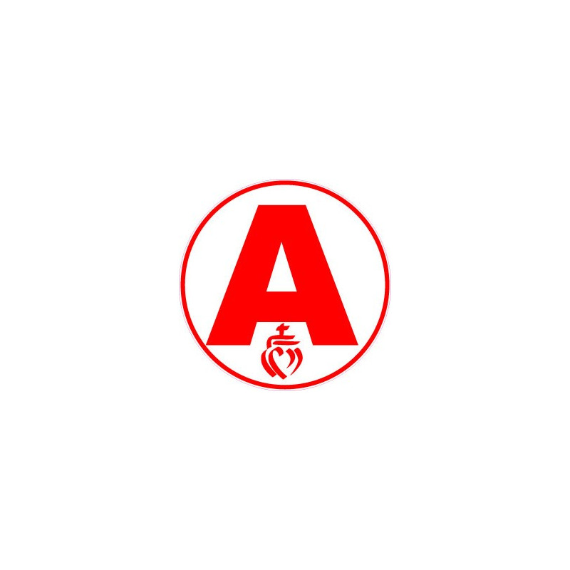 A young driver learner sticker adhesive Basque